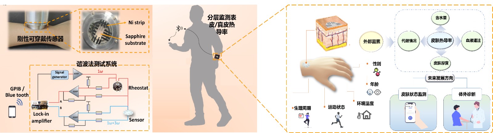 谐波法刚性可穿戴传感器.jpg