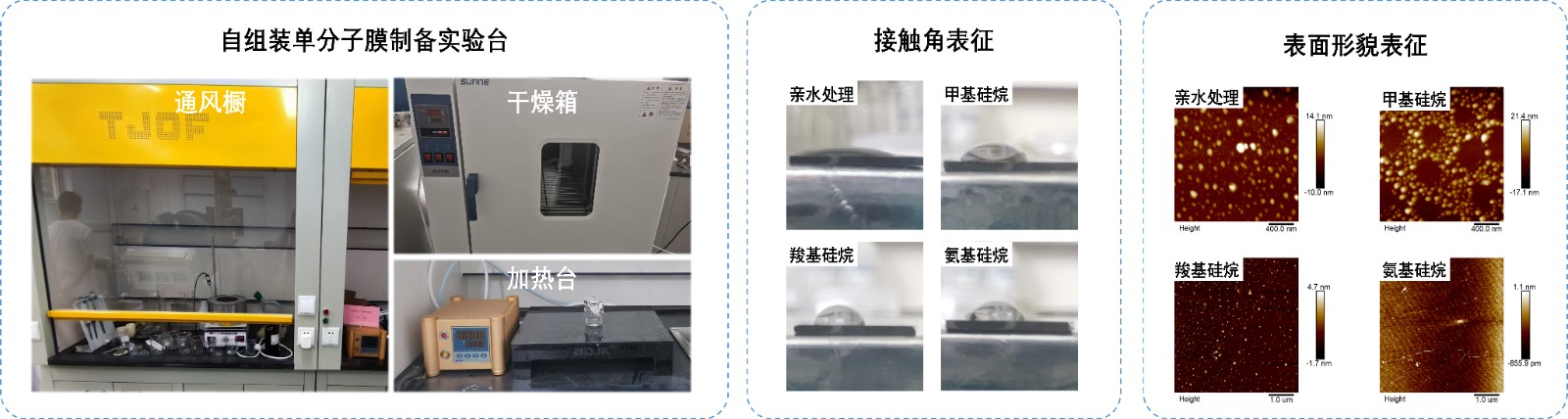 自组装单分子层.jpg